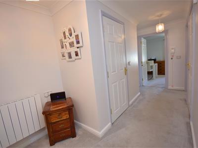 Picture 7
